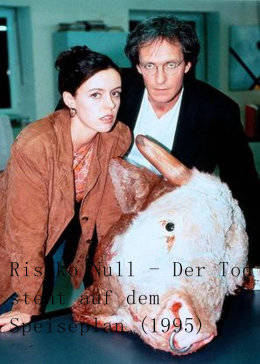 天涯追踪 (普通话版)