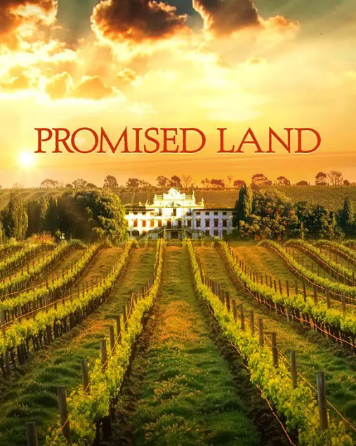 名酿家族第一季