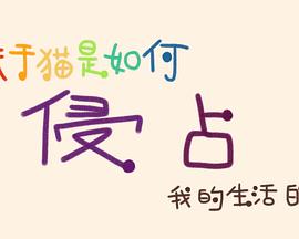 关于猫是如何侵占我的生活的