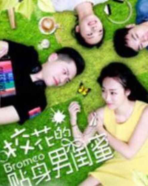 校花的贴身男闺蜜