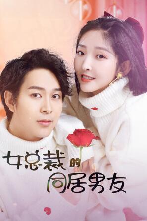 女总裁的同居男友