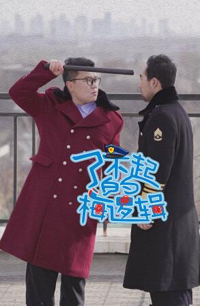 了不起的梅逻辑