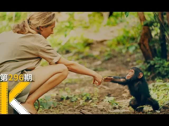 是什么将人和动物最终区别开来？国家地理获奖纪录片《珍》 看电影了没