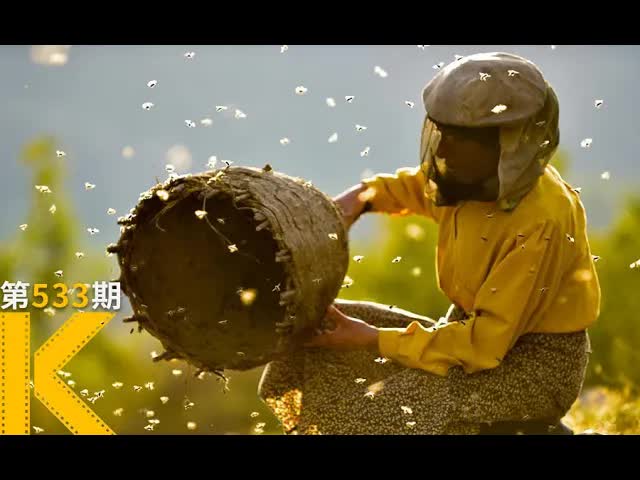 比灾难更可怕的，是人心。2020奥斯卡电影《蜂蜜之地》 看电影了没