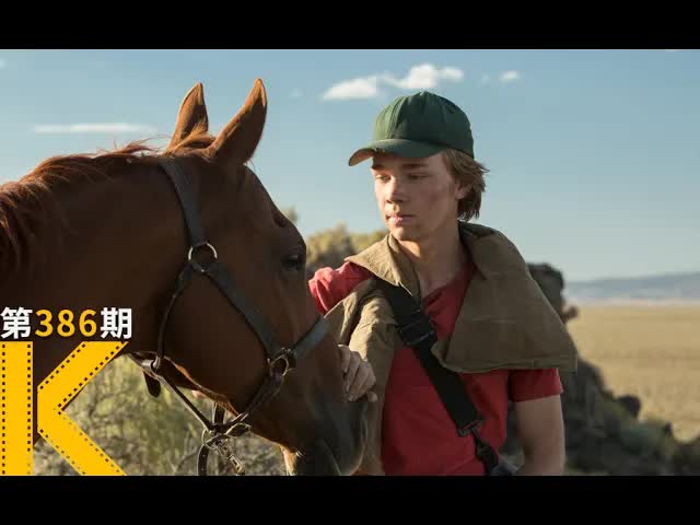 我爸死了，这匹马成了我的依靠  看电影了没