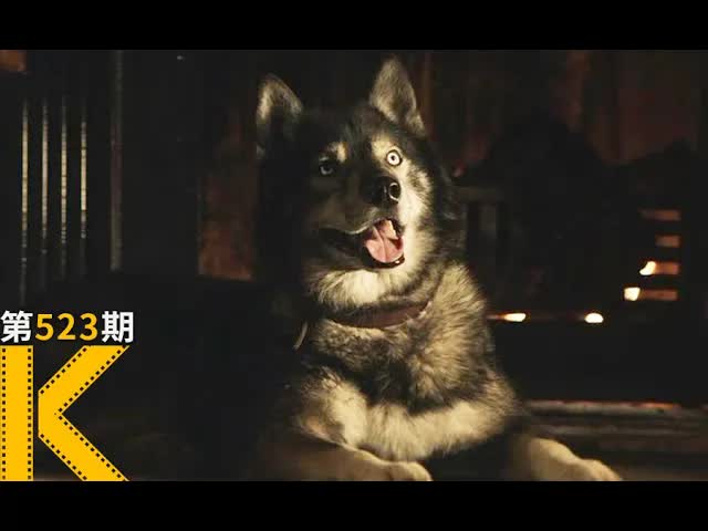 这条二哈拯救美国一个镇的小孩！真实改编电影入围2020奥斯卡《多哥》 看电影了没