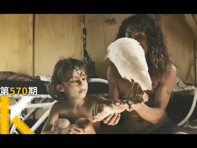 为什么一个5岁男孩的海上生活治愈我们？《拥抱大海》 看电影了没