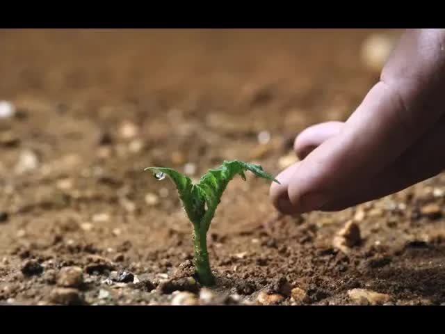 【越哥】男子被遗忘在火星上，靠种植一种农作物生存了561天，方法有点恶心！