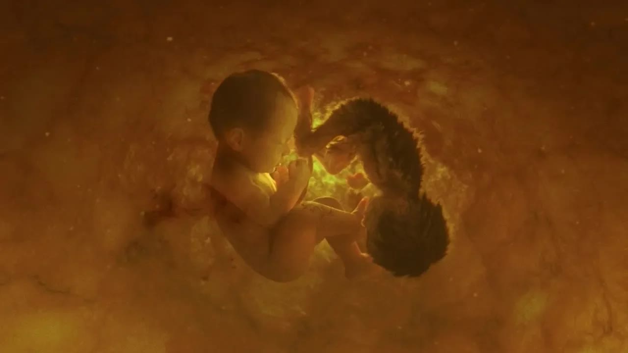 韓國票房冠軍的宗教懸疑片《娑婆訶》有些人外表看似光鮮實際上……