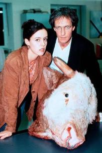 天涯追踪（普通话）