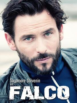 最后的警察（法国版） 第二季