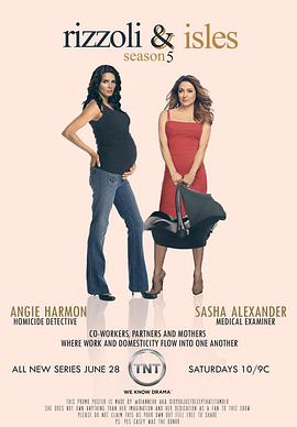 妙女神探 第5季