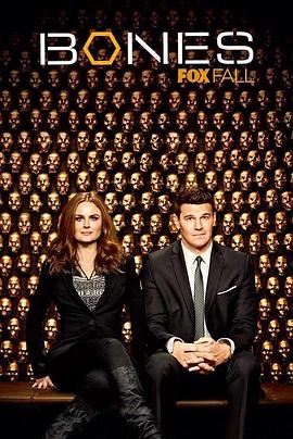 识骨寻踪 第9季