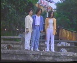 猛龙特警之天罗地网（普通话）