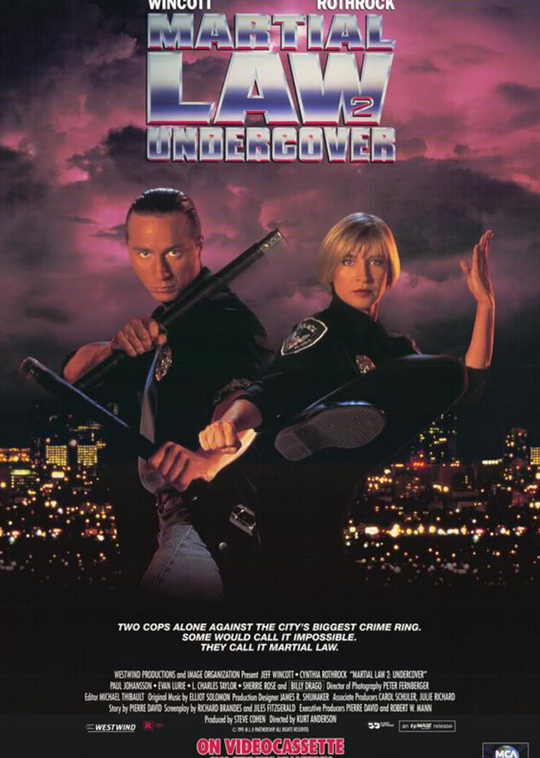 铁胆雄风（普通话）