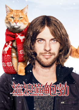 流浪猫鲍勃（原声）